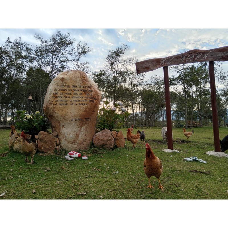 hacienda-nirvana-villa-ximena-villa-de-leyva-boyaca.jpg