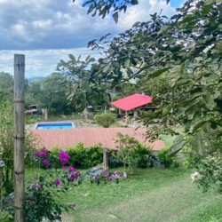Granja De BamBam, Sasaima,...