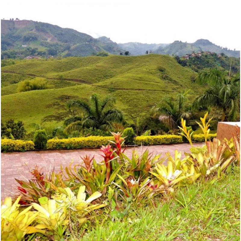 Finca los Cristales,4px, Dosquebradas, Risaralda